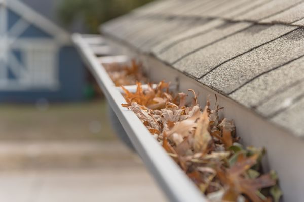 Leaf Barrier Installation in Edison